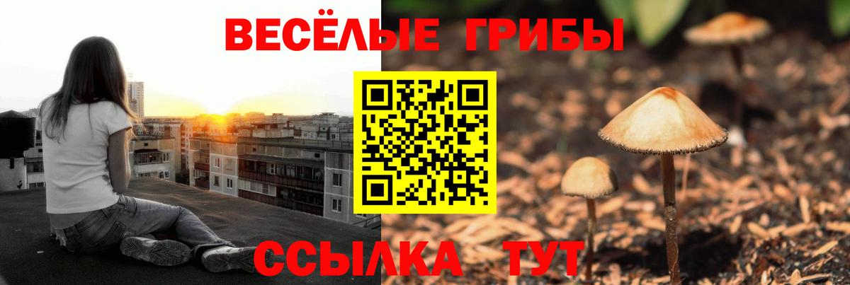 Нижневартовск  Галлюциногенные грибы ЛСД  Вход с VPN 